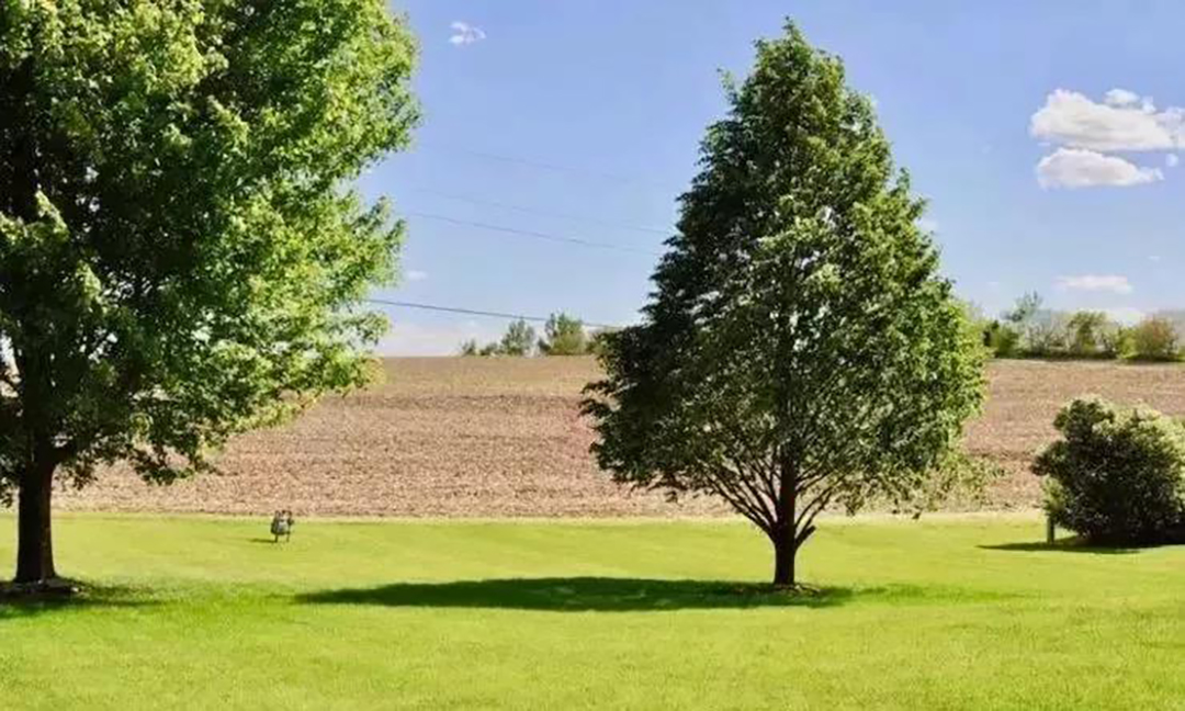 植樹節(jié)|守護綠色家園的秘密武器！